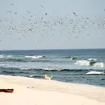 Meeresrauschen Carpe Diem Mit Grosszuegiger Terrasse Und Extragrossem Strandkorb *