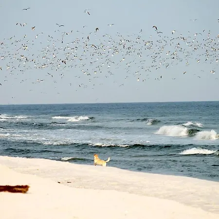 Meeresrauschen Carpe Diem Mit Grosszuegiger Terrasse Und Extragrossem Strandkorb *