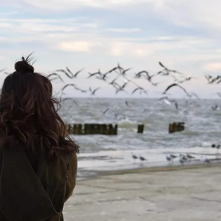 Apartament Meeresrauschen Carpe Diem Mit Grosszuegiger Terrasse Und Extragrossem Strandkorb Pelzerhaken
